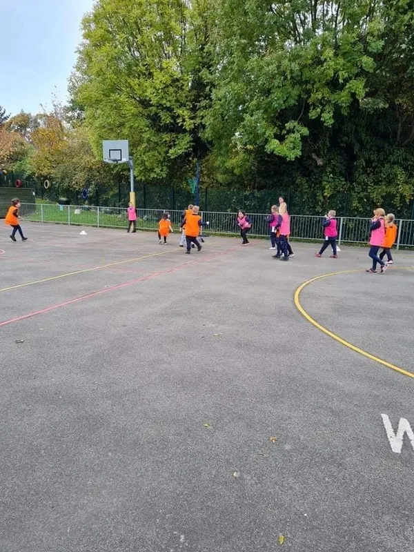 Y4 Paceball - image 3