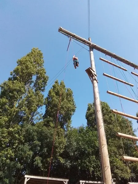 Group 1 - Trapeze - image 3