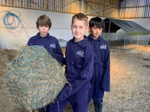 Farm 2025 - Gallery 3 - image 1