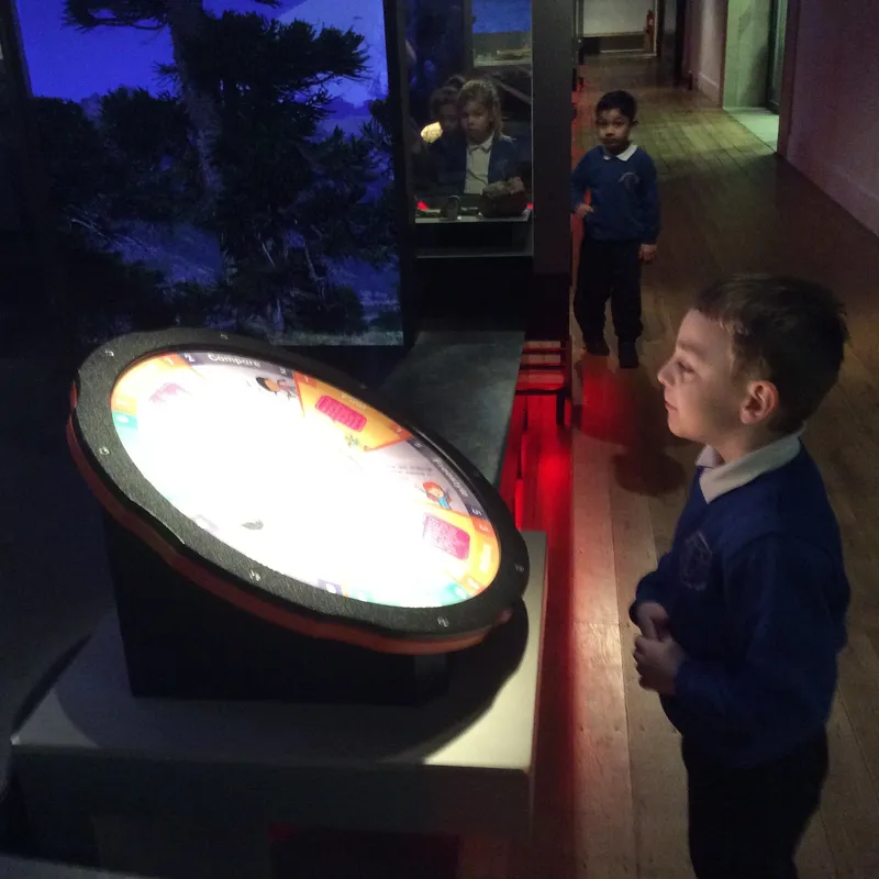 Gallery - created at 2024-02-15 10:35:32 - image 14 Gallery - created at 2024-02-15 10:35:32 - image 14