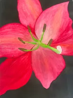 Georgia O'Keeffe - image 8