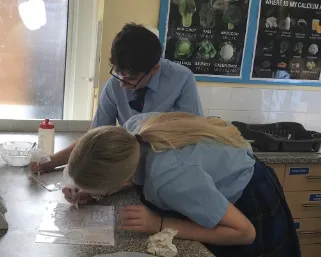 Gallery - image 1 Gallery - image 1