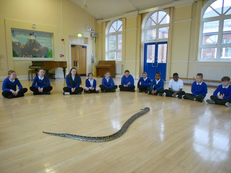 Y6 Reptile Rendezvous - image 64