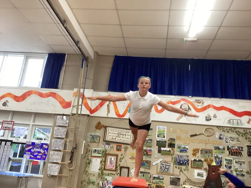 Gymnastics lesson exploring twisted shapes and balances with different points - image 4 Gymnastics lesson exploring twisted shapes and balances with different points - image 4