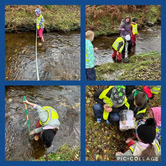 Autumn 2023 - 8th November - Saplings - River Study Trip - image 3 Autumn 2023 - 8th November - Saplings - River Study Trip - image 3