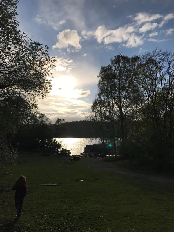 Gallery - image 43