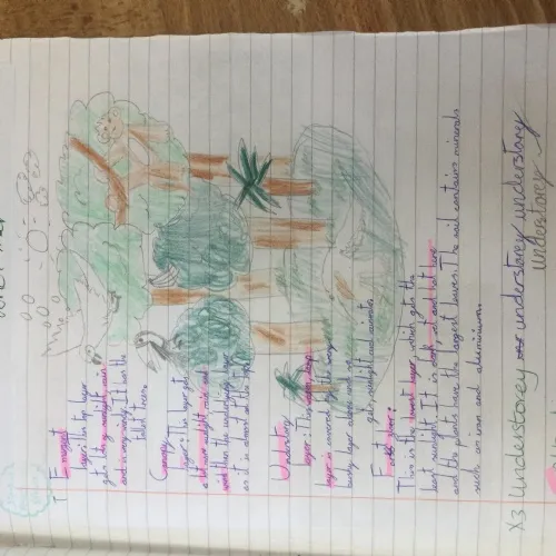Curriculum Blogs - Geography 1 - image 1
