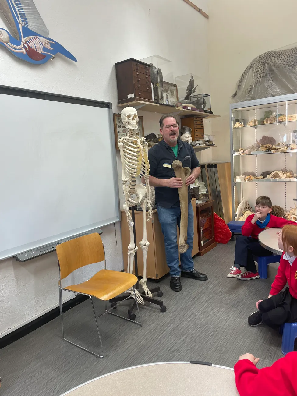 Gallery - created at 2024-02-24 14:03:51 - image 19