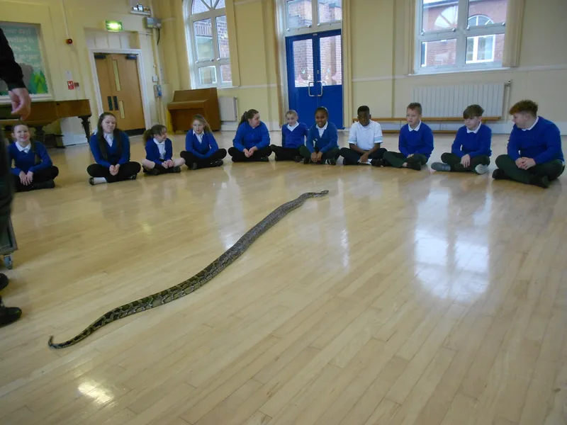 Y6 Reptile Rendezvous - image 63