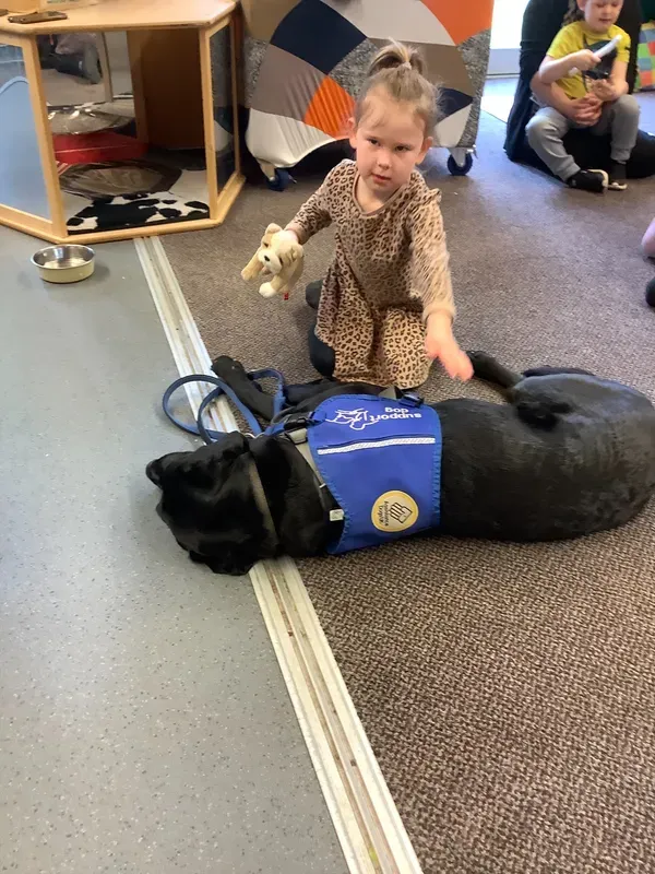 ANS - Support Dog Visit - image 2 ANS - Support Dog Visit - image 2