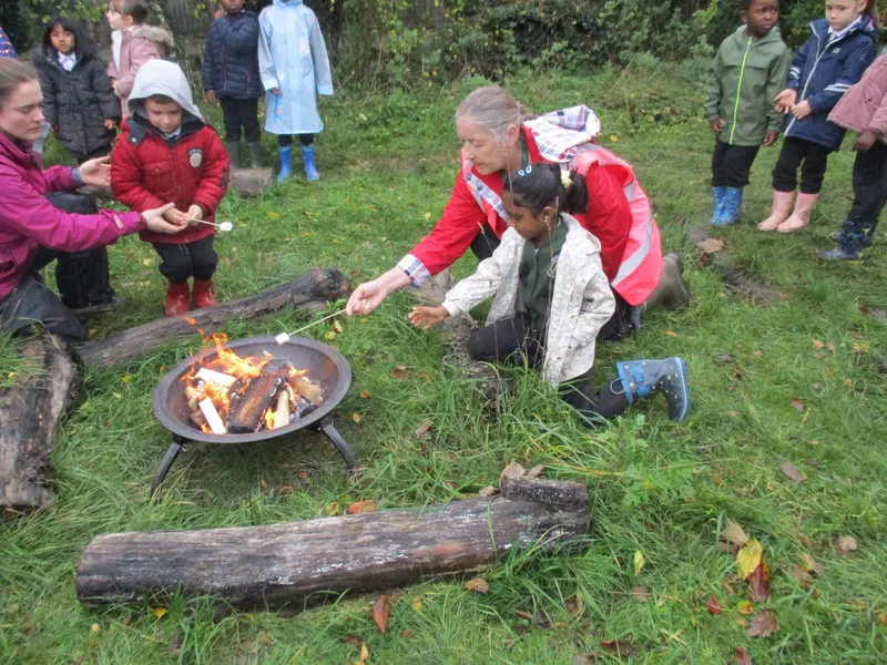 Forest School Fun Year 1 - image 23 Forest School Fun Year 1 - image 23