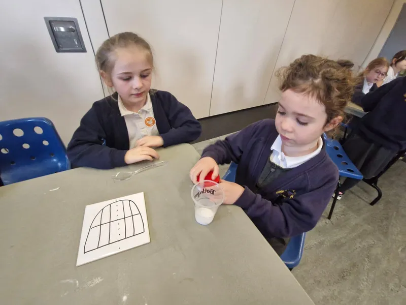 Rigby Catalyst Trip 05.11.25 - image 10