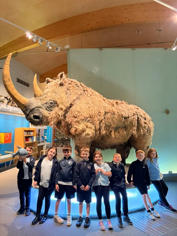 Year 3 - Weston Park Museum Trip