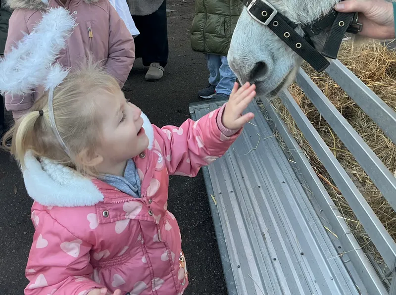 Stella farm on wheels Part 1 - image 50