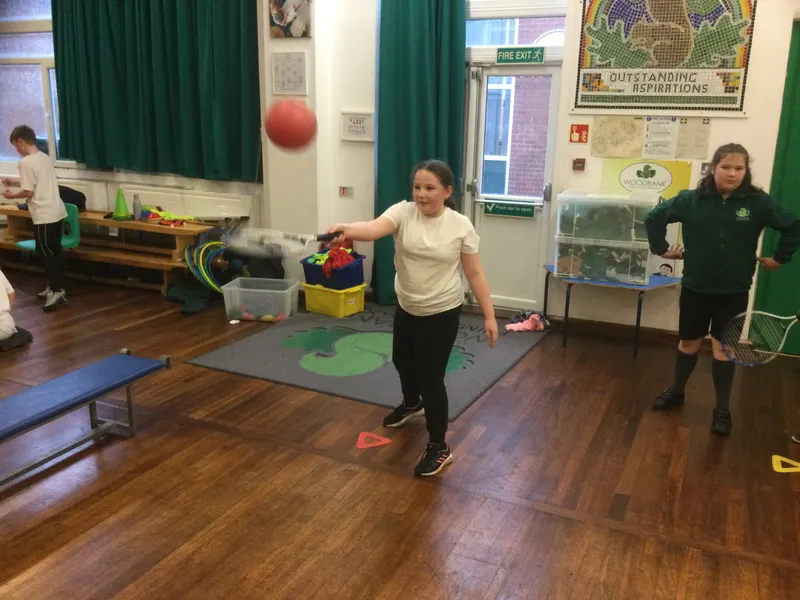 Chestnut net and wall games - image 71