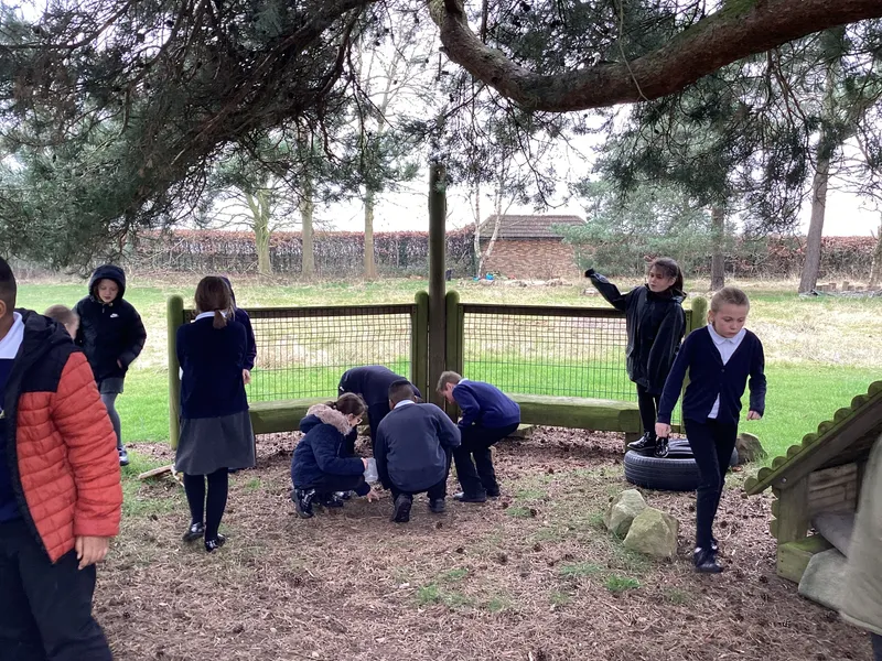 Gallery - created at 2023-03-08 10:20:08 - image 5