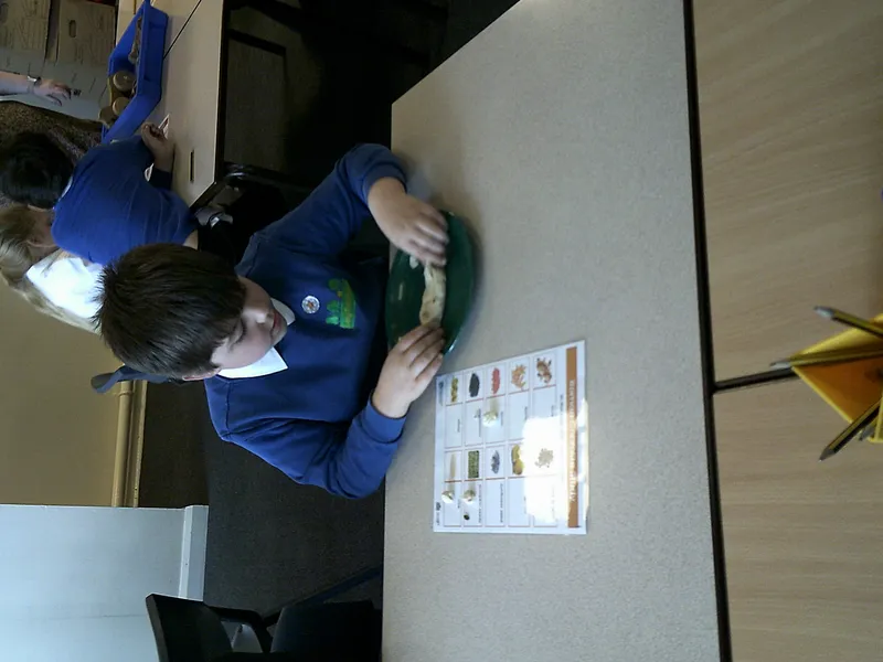 Y4 Roman Archaeology Workshop - image 15