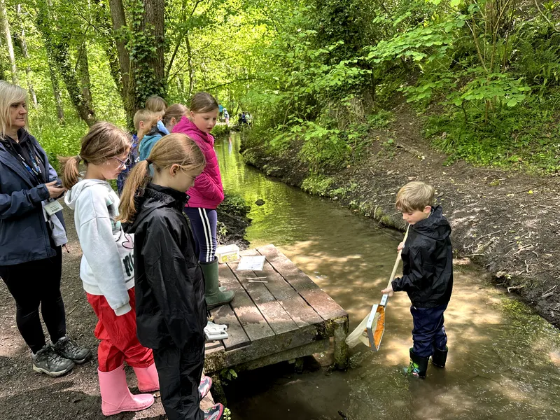 Drews Pond Woods - image 20