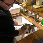 Our School - Bella 13 - image 10