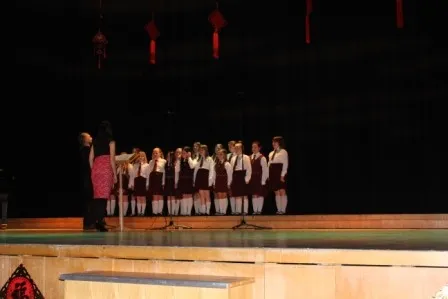 Gallery - image 11