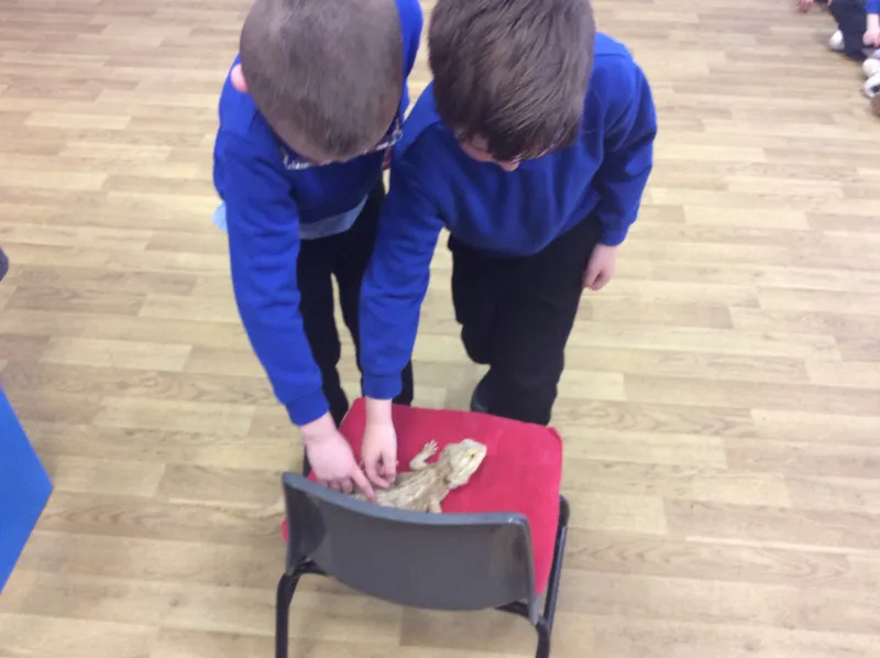 Gallery - created at 2024-03-05 13:52:56 - image 31 Gallery - created at 2024-03-05 13:52:56 - image 31