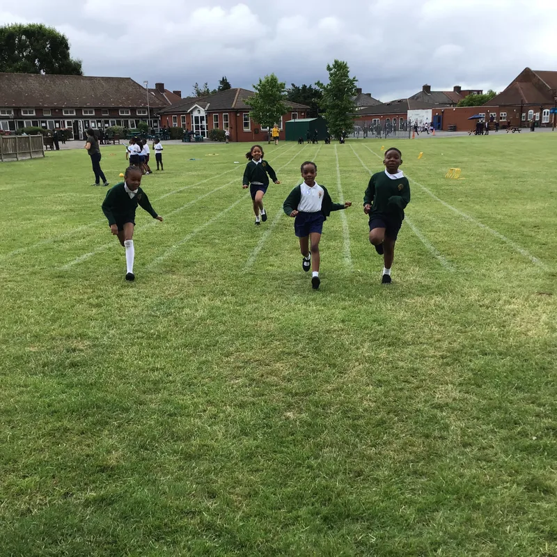 Gallery - image 13