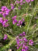 Forest School 63 - image 12 Forest School 63 - image 12