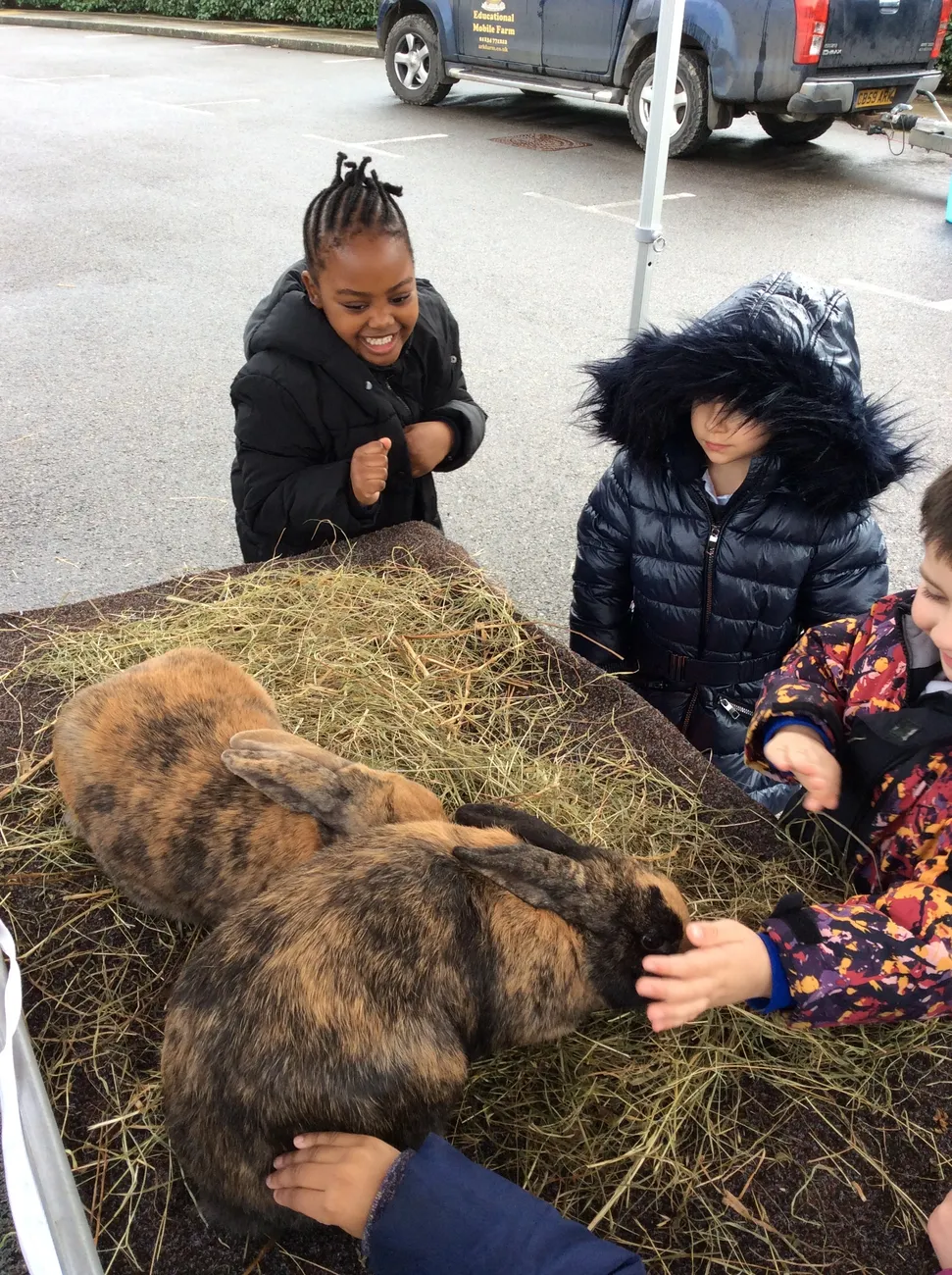 Gallery - created at 2022-03-04 13:11:52 - image 11