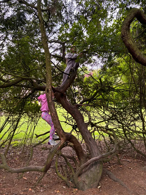 Year 3 Losehill Residential 2026 - image 84