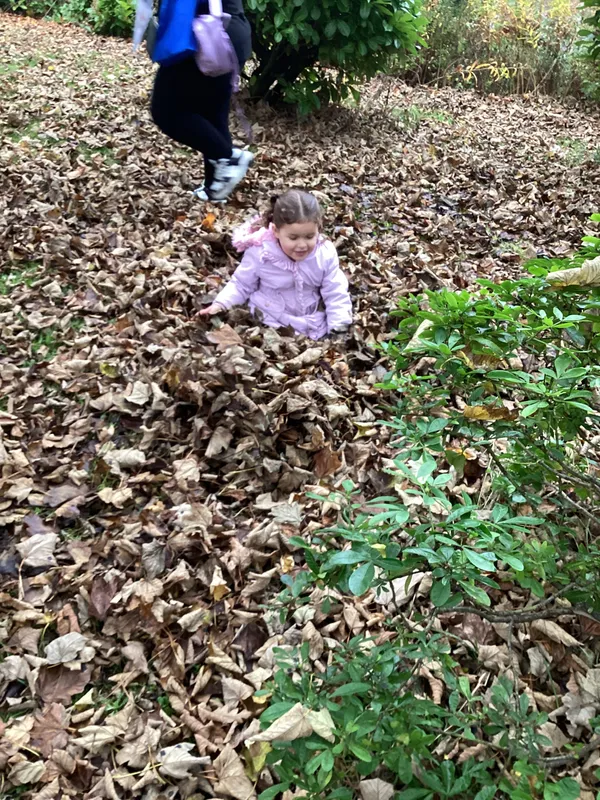 Gallery - created at 2024-11-08 10:10:59 - image 60 Gallery - created at 2024-11-08 10:10:59 - image 60