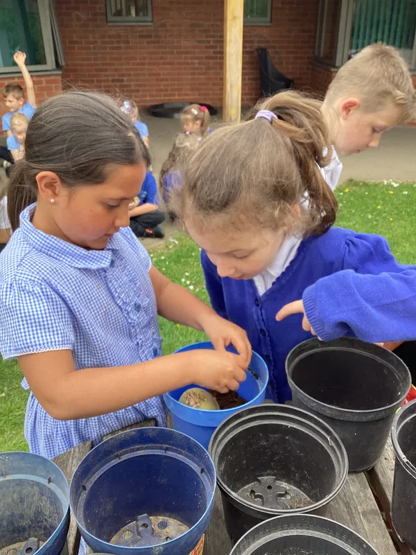 Gallery - created at 2022-05-13 14:39:33 - image 4 Gallery - created at 2022-05-13 14:39:33 - image 4