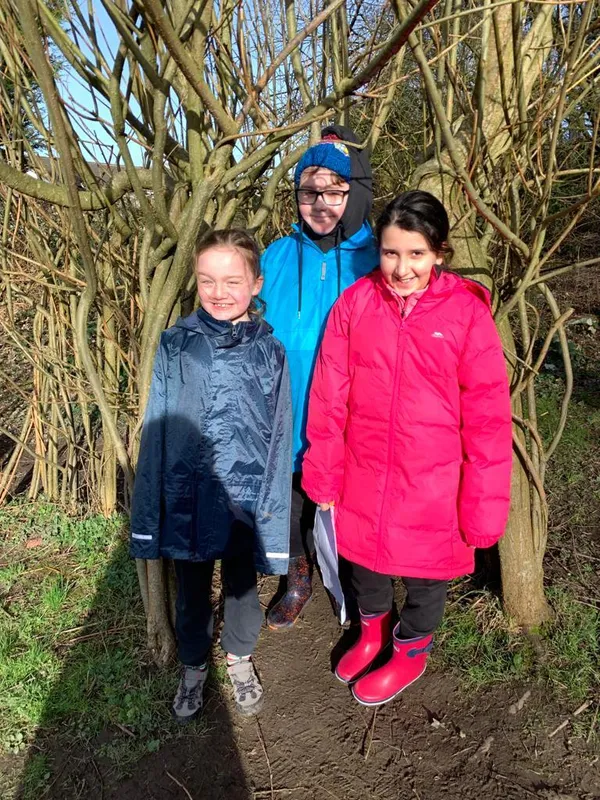 Gallery - created at 2023-02-24 15:31:22 - image 4 Gallery - created at 2023-02-24 15:31:22 - image 4