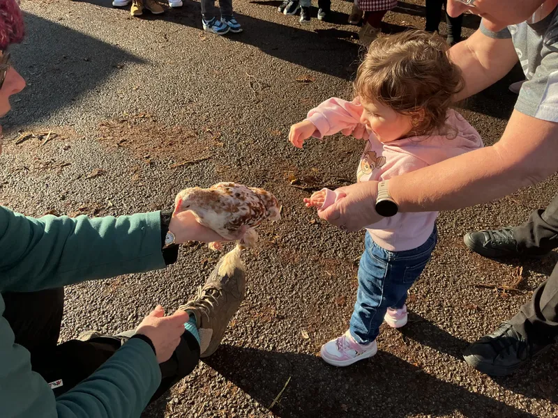 Explorers with Stella on Wheels  - image 11