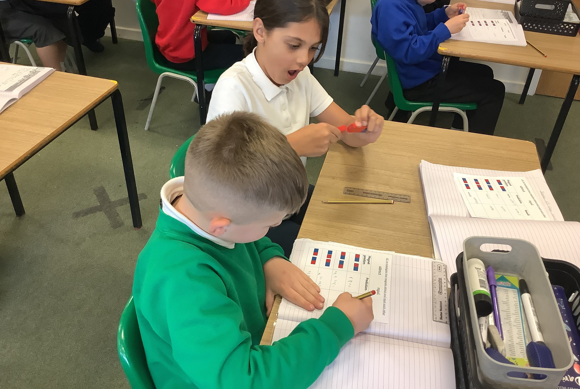 Exploring magnets in Woodpeckers