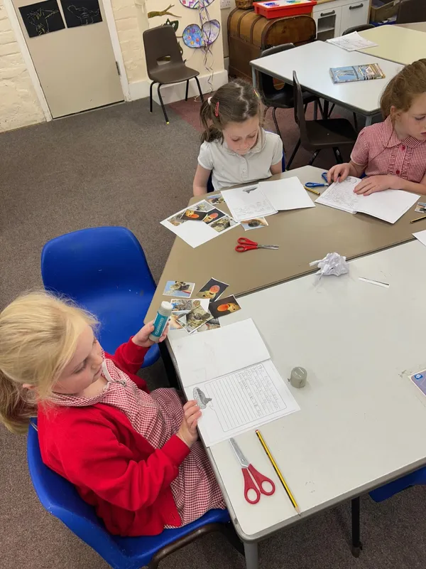 Gallery - created at 2025-06-06 11:32:24 - image 14