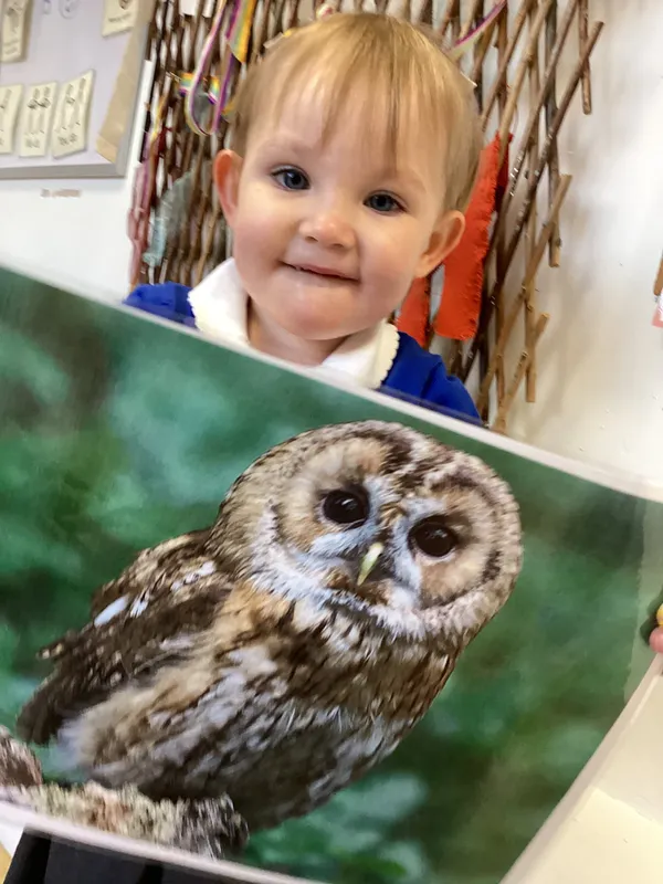 Gallery - created at 2025-01-07 08:32:32 - image 42