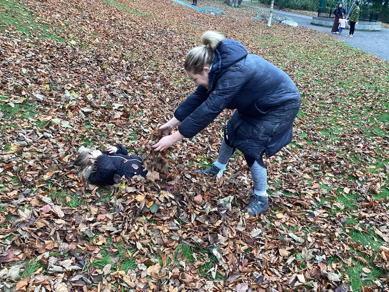 Gallery - created at 2024-11-08 10:10:59 - image 26 Gallery - created at 2024-11-08 10:10:59 - image 26