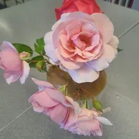 Art Mock Exam Work 2026 - image 17