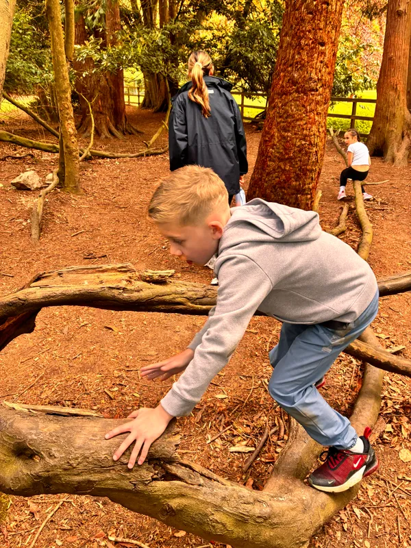 Year 3 Losehill Residential 2026 - image 76