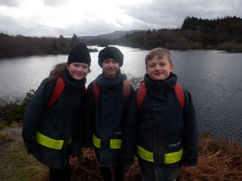 Gallery - created at 2025-02-26 20:19:52 - image 36