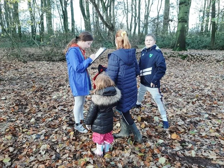 Gallery 7 - image 40