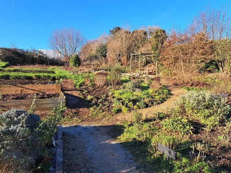 Year 5 and 6 pupils. - image 6