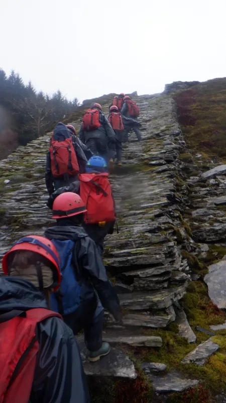 Gallery - created at 2024-02-28 19:37:21 - image 28 Gallery - created at 2024-02-28 19:37:21 - image 28