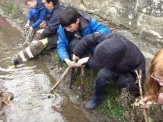 Forest School 146 - image 4 Forest School 146 - image 4