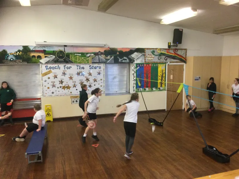 Chestnut net and wall games - image 64