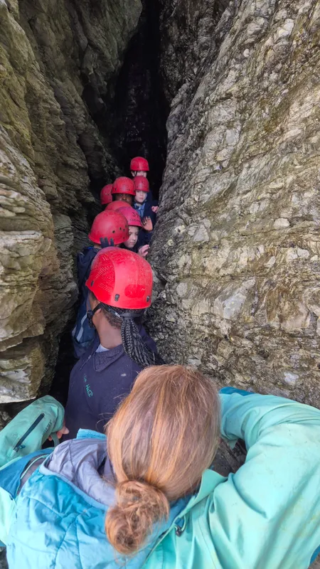 Gallery - created at 2025-02-27 19:57:56 - image 55