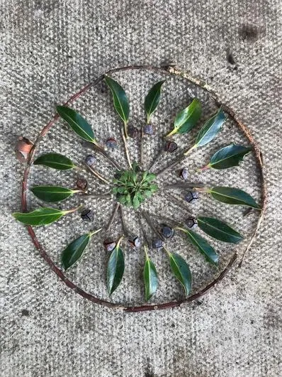 Spring 2023 - January 18th - Oaks - Viking Shields and Runes - image 1 Spring 2023 - January 18th - Oaks - Viking Shields and Runes - image 1