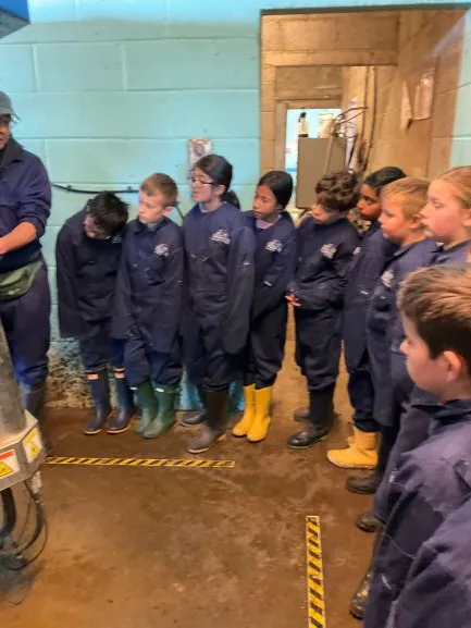 Farm Trip 25 - Gallery 2 - image 4