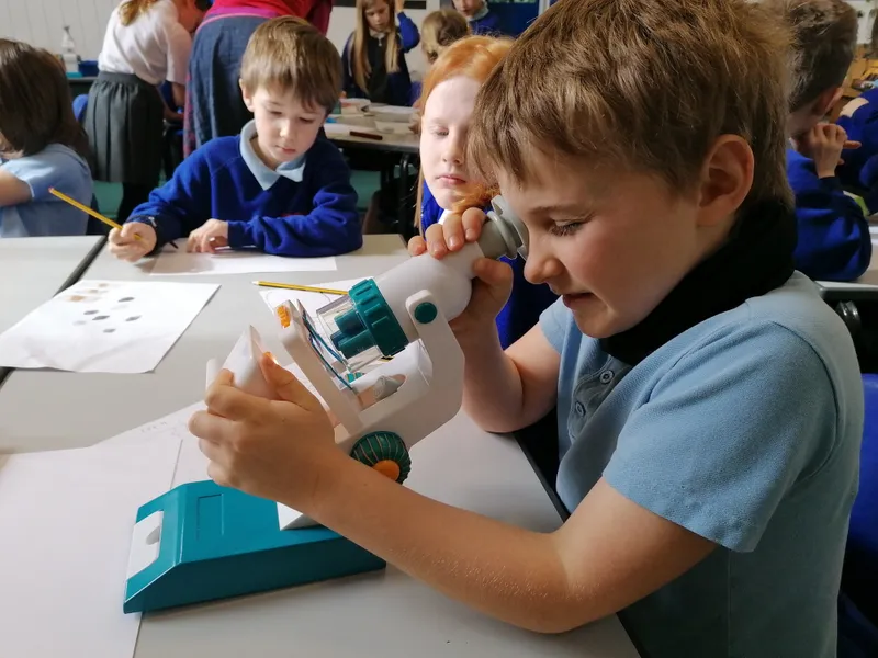 Gallery - created at 2021-03-14 14:39:05 - image 14