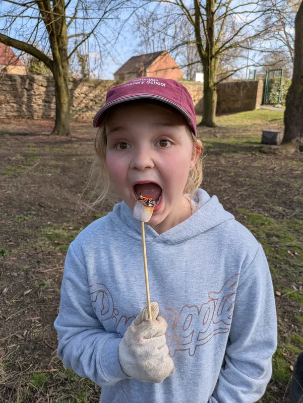 Gallery - created at 2025-03-20 15:36:53 - image 7